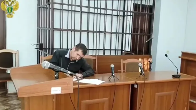Сернурец задолжал сыновьям 266 тысяч рублей и получил принудительные работы