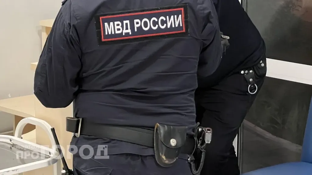 В Йошкар-Оле задержали вора, обновившего гардероб в примерочной
