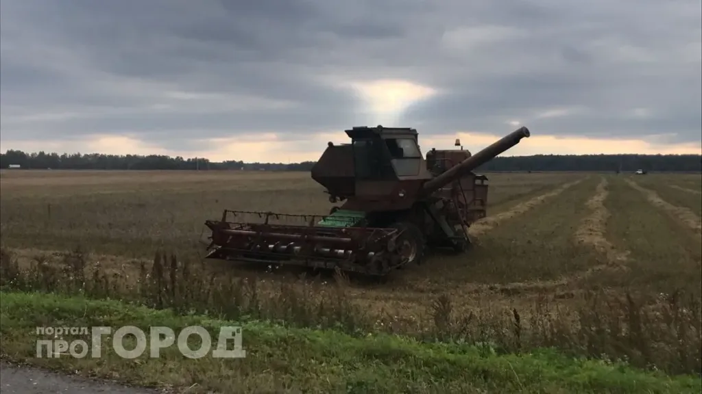 В Марий Эл ждут рекордный урожай картофеля и овощей