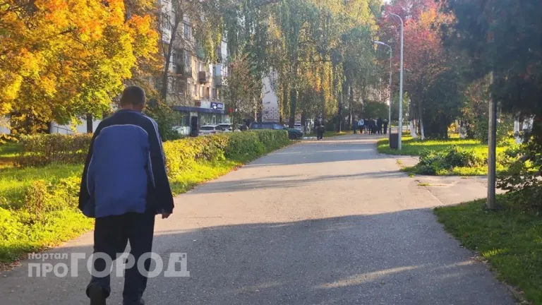 Житель Сернурского района получил полгода принудительных работ за долг по алиментам